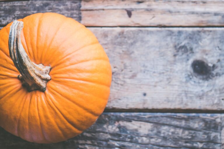zucca